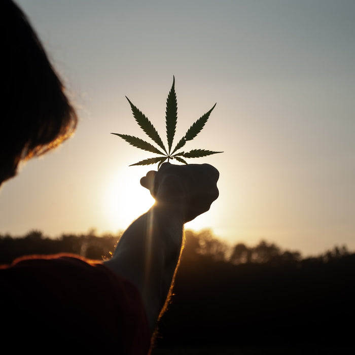 Embracing Nature: Celebrating Cannabis Culture at the End of May