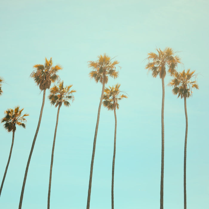 Embrace the Summer Vibes with Accessories and Adventures