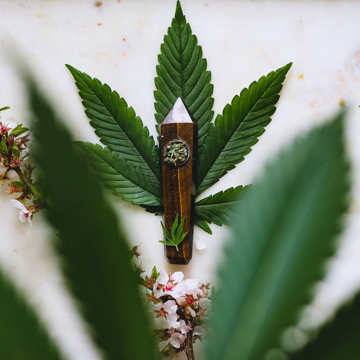 The Best Fruits and Vegetables for Homemade Pipes