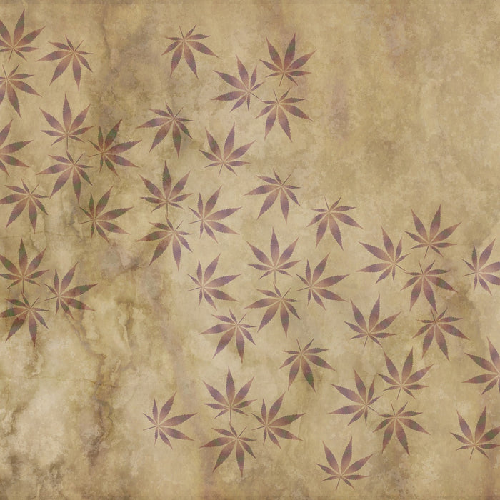 Marijuana myth Busted