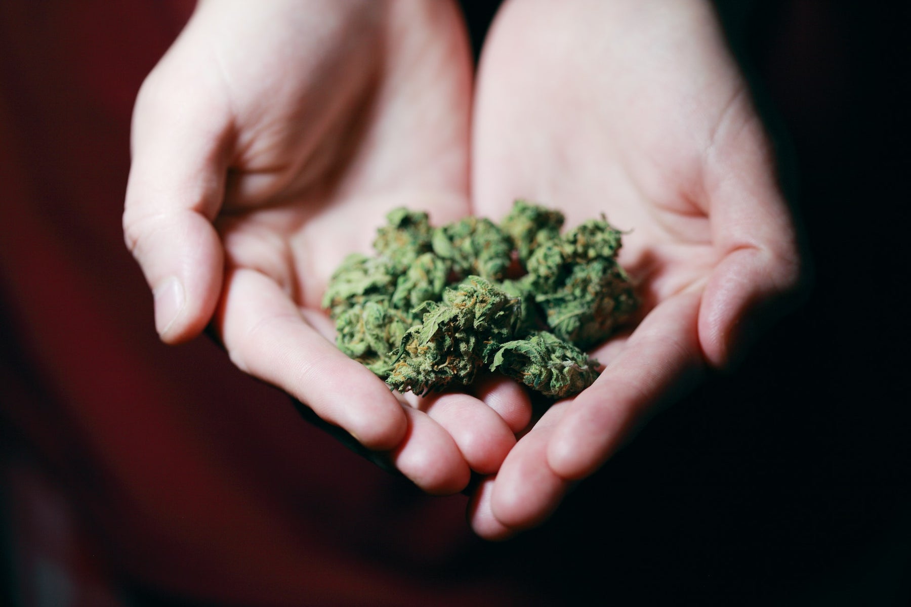 How To Save Weed & Your Money With These Simple Tips