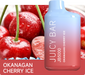 Juicy Bar | JB5000 disposable Box of 10 Disposable Vape JUICY BAR Okanagan Cherry ice