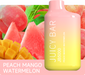 Juicy Bar | JB5000 disposable Box of 10 Disposable Vape JUICY BAR Peach mango watermelon