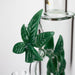 COBRA | 12" 3D LEAF BONG Bongs JJ Distribution