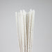 Randy's | 10" Soft pipe cleaners box of 30 Cleaning Stuffs Smoking Cat Distribution