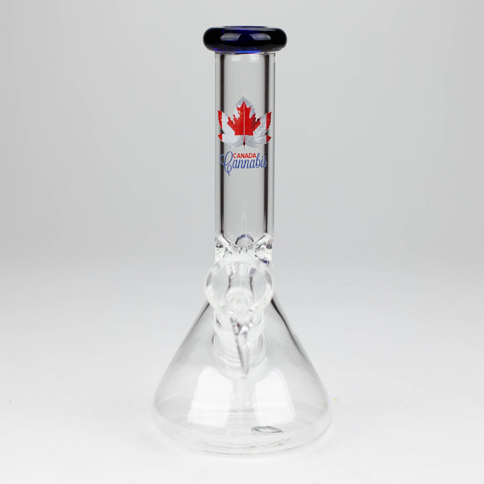 7" Zoom Glass Bong with Bowl [AK050]