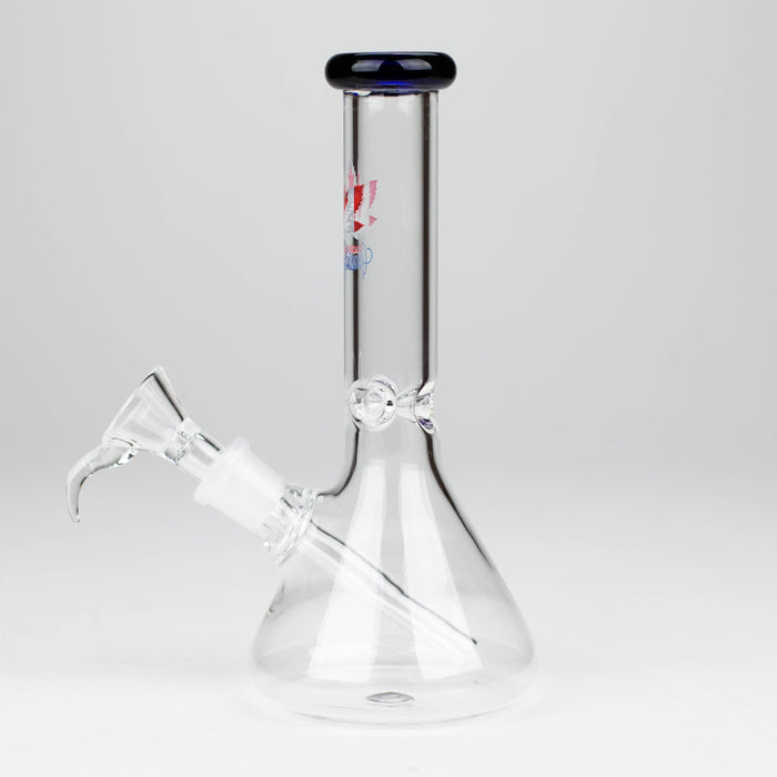 7" Zoom Glass Bong with Bowl [AK050]