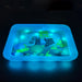 LED smoking Tray Small size Tray NIBO Distribution