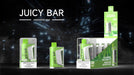 JUICY BAR | JB25000 PROMAX Disposable BOX OF 5 Federal Excise Tax JUICY BAR