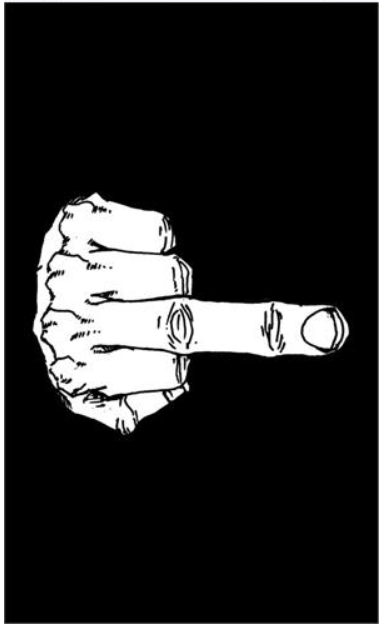 DIGITAL PRINTED 3' x 5' FLY FLAG Flag · Sign NIBO Distribution MIDDLE FINGER