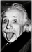 DIGITAL PRINTED 3' x 5' FLY FLAG Flag · Sign NIBO Distribution EINSTEIN TONGUE