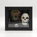 LED Skull Nectar Collector Kit [SKNC] Nectar Collector Super Supplys Inc