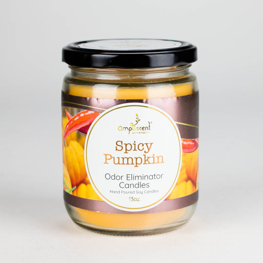 Ampliscent | Candles Odor Eliminator – 13oz Candle Canadian Distributor Spicy Pumpkin