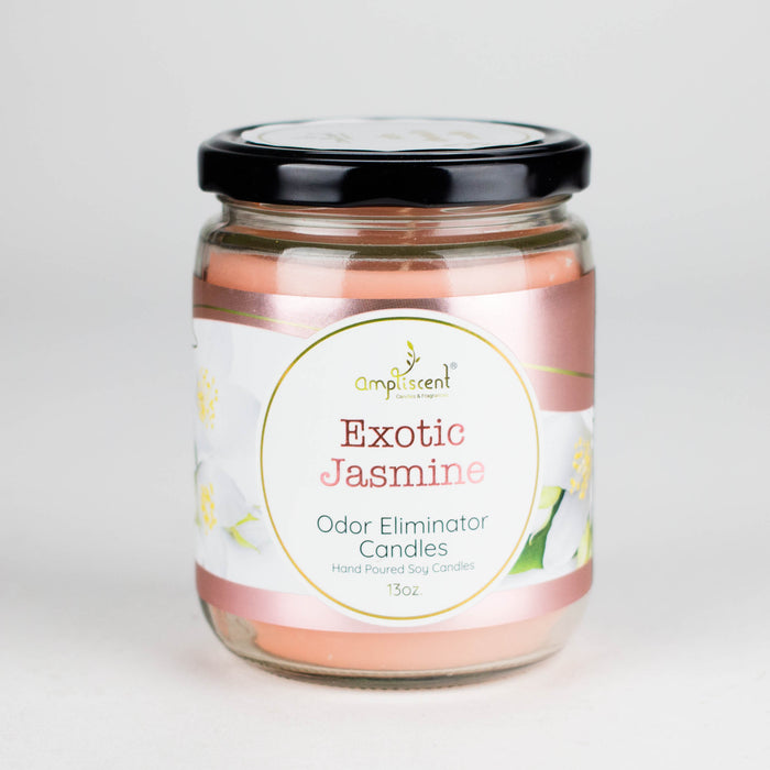 Ampliscent | Candles Odor Eliminator – 13oz Candles Canadian Distributor Exotic Jasmine