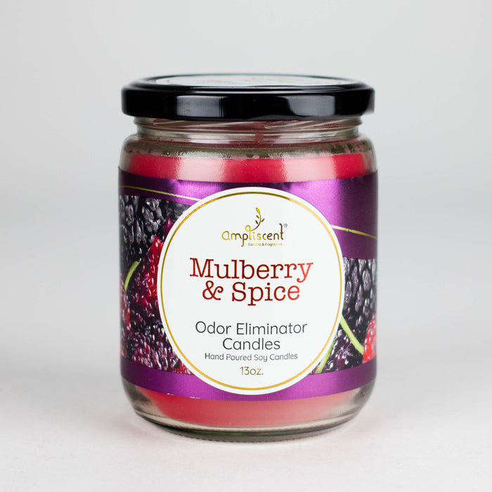 Ampliscent | Candles Odor Eliminator – 13oz Candles Canadian Distributor Mulberry & Spice