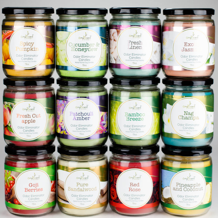 Ampliscent | Candles Odor Eliminator – 13oz Candles Canadian Distributor