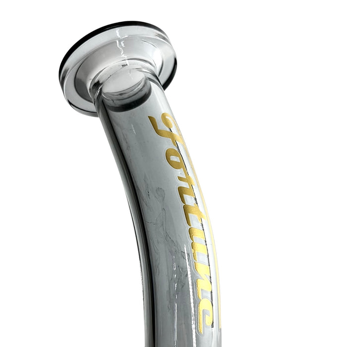 10" Electroplated With Perc Glass Bong Glass Bong Fortune