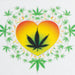Haze | 9″ Heart Leaf Double Bubble Base Glass Bong with Color Lip – Amber (Mini-U) Glass Bong Canadian Distributor