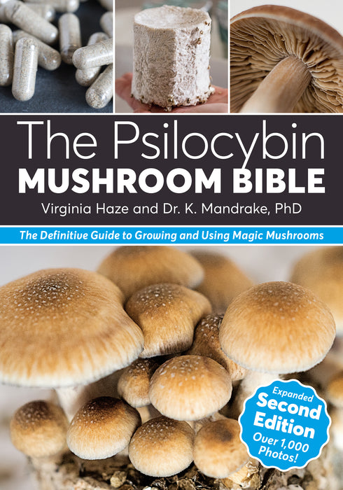 The Psilocybin Mushroom Bible Toy · Book Green Candy Press