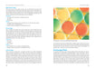 The Psilocybin Mushroom Bible Toy · Book Green Candy Press