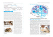 The Psilocybin Mushroom Bible Toy · Book Green Candy Press