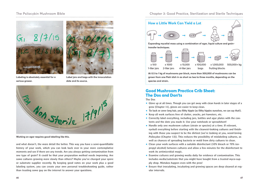 The Psilocybin Mushroom Bible Toy · Book Green Candy Press