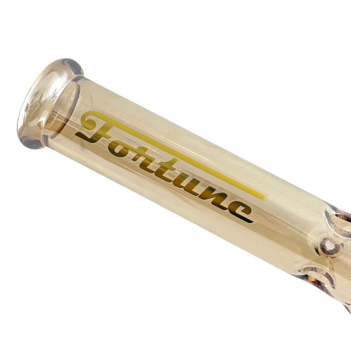 10" Geometric Hexagon Electroplated Glass Bong Glass Bong Fortune