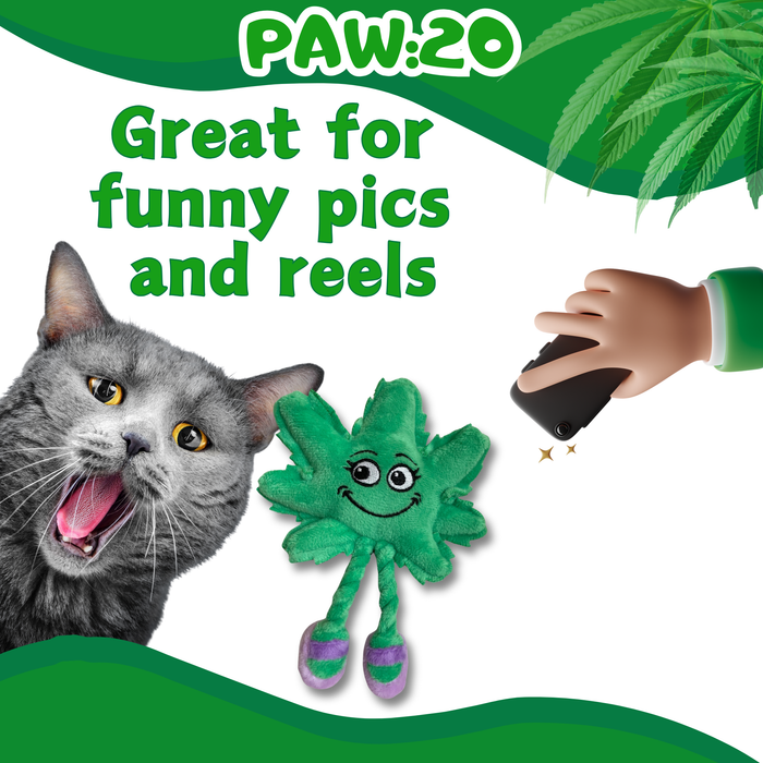 Lil' Mary Jane the Marijuana Leaf - Plush Catnip Cat Toy - 6" For Pet PAW:20