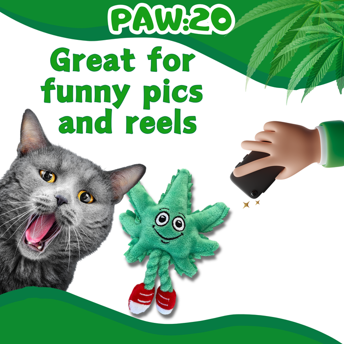 Lil' MJ the Marijuana Leaf - Plush Catnip Cat Toy - 6" For Pet PAW:20