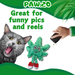Lil' MJ the Marijuana Leaf - Plush Catnip Cat Toy - 6" For Pet PAW:20