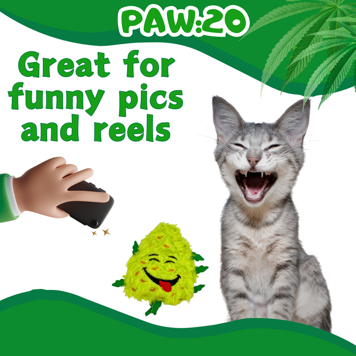 Bud Jr. the Weed Nug - Plush Catnip Cat Toy - 3" For Pet PAW:20