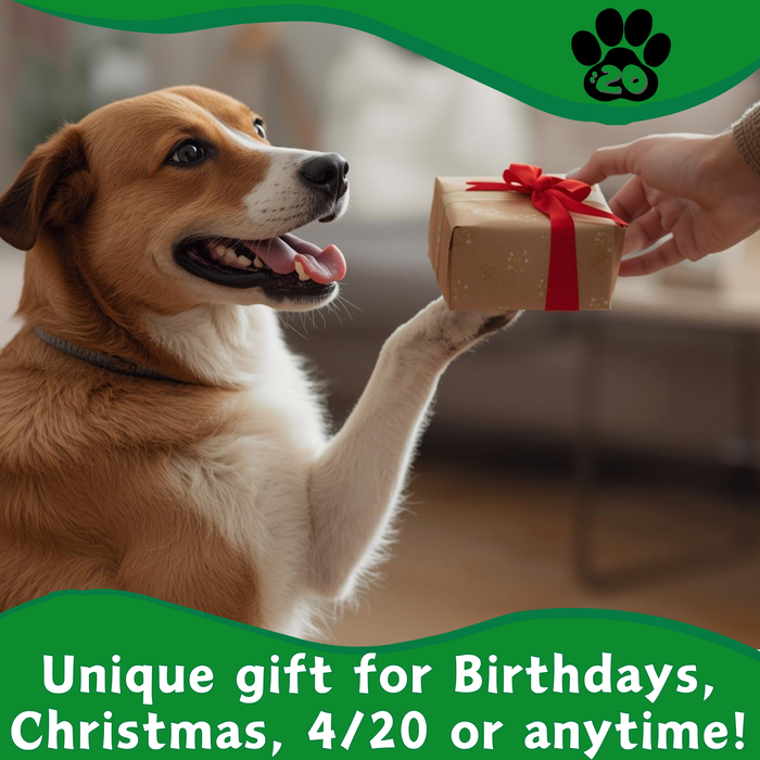 Bud the Weed Nug - Parody Plush Squeaky Dog Toy - 6" For Pet PAW:20