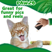 Lil' B the Blunt - Stuffed Parody Catnip Cat Toy - 5" For Pet PAW:20