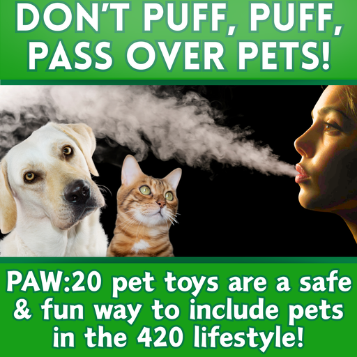 B the Blunt - Squeaky Parody Dog Toy - 10" For Pet PAW:20