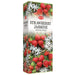 HEM | Hexa Incense Sticks – 6 Tubes / Box Incense SunGlow Strawberry Jasmine