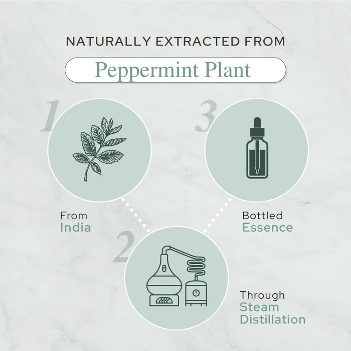 Plant of Life | Organic Essential Oil 1oz Skincare Neo Wholesale Co.