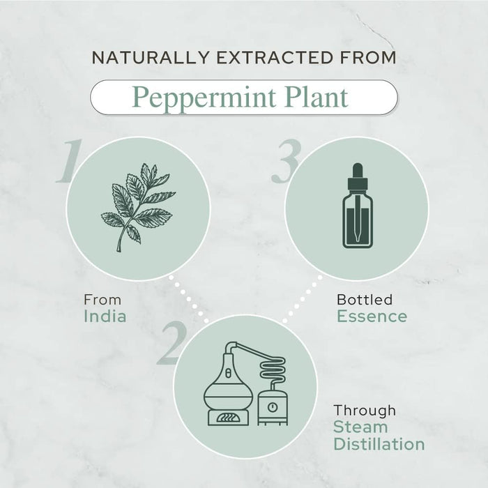 Plant of Life | Organic Essential Oil 1oz