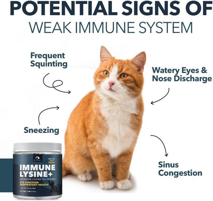 PetPal | L-Lysine Immune and Respiratory Support Supplement for Cats Health & Life Neo Wholesale Co.