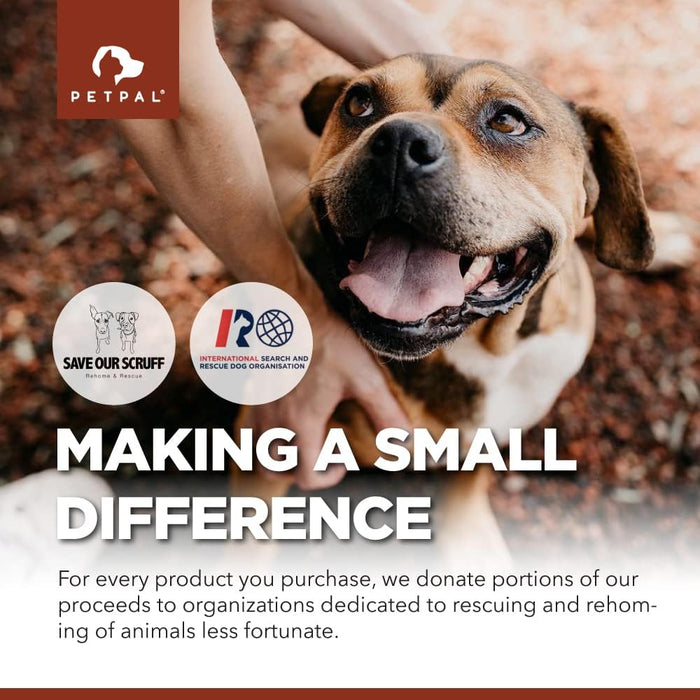 PetPal | Multi Vitamin Soft Chew Treats for Dogs Health & Life Neo Wholesale Co.