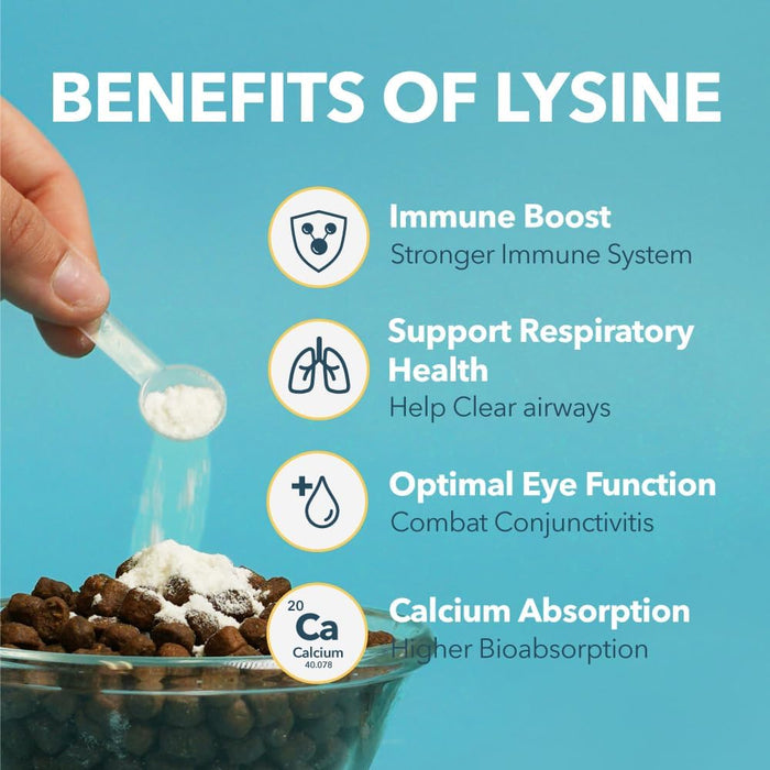 PetPal | L-Lysine Immune and Respiratory Support Supplement for Cats Health & Life Neo Wholesale Co.