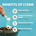 PetPal | L-Lysine Immune and Respiratory Support Supplement for Cats Health & Life Neo Wholesale Co.