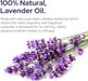 Plant of Life | Organic Essential Oil 1oz Skincare Neo Wholesale Co.