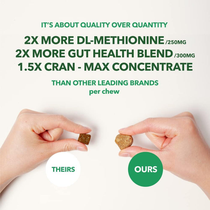 PetPal | Green Grass Urine Soft Chew Treats for Dogs For Pet Neo Wholesale Co.