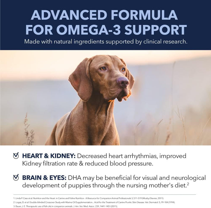 PetPal | Skin & Coat Omega Soft Chew Treats for dogs For Pet Neo Wholesale Co.