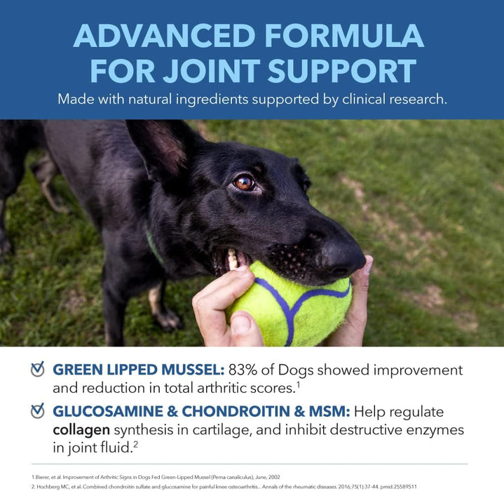 PetPal | Hip & Joint Mobility - soft Chews with Chondroitin & MSM