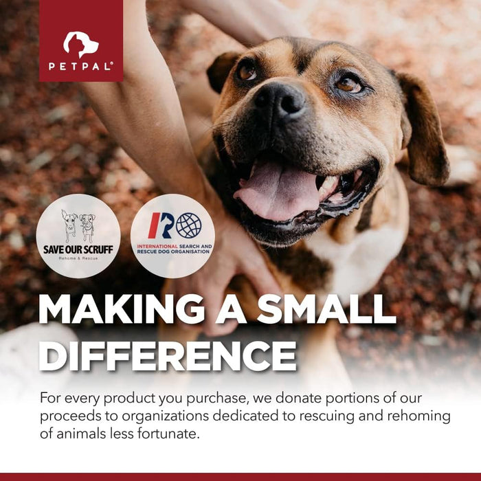PetPal | Skin & Coat Omega Soft Chew Treats for dogs For Pet Neo Wholesale Co.