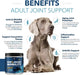 PetPal | Hip & Joint Mobility Powder for Dogs For Pet Neo Wholesale Co.