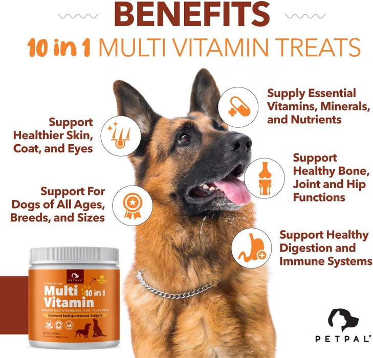 PetPal | Multi Vitamin Soft Chew Treats for Dogs Health & Life Neo Wholesale Co.