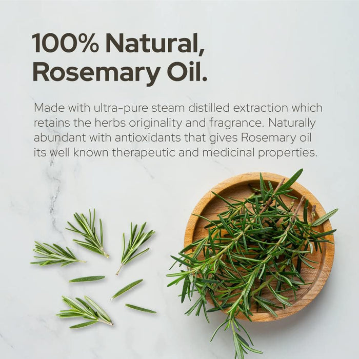 Plant of Life | Rosemary Essential Oil for Aromatherapy Hair, Skin, & Nails (1 oz / 30mL)