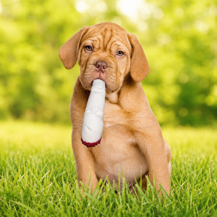Jay the Joint | 420 Dog Toy & Collectible Plush For Pet PAW20